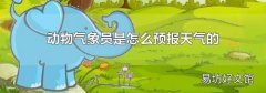 动物气象员是怎么预报天气的