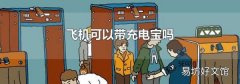 飞机可以带充电宝吗