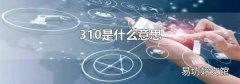 310是什么意思