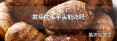 发芽的毛芋头能吃吗