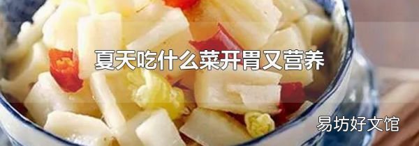 夏天吃什么菜开胃又营养