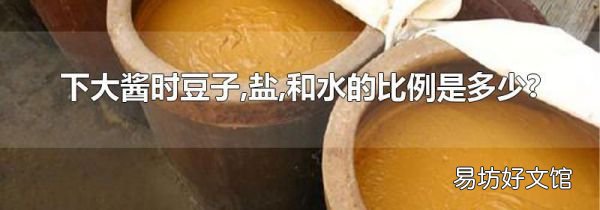 下大醬時豆子,鹽,和水的比例是多少?