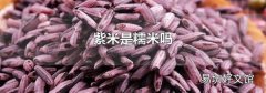 紫米是糯米嗎