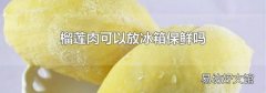 榴莲肉可以放冰箱保鲜吗