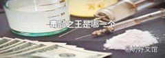 毒品之王是哪一个