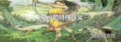 echo的特殊含义