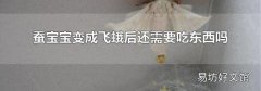 蚕宝宝变成飞蛾后还需要吃东西吗