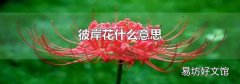 彼岸花什么意思