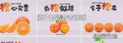 橙子的谐音吉祥语