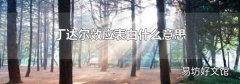 丁达尔效应表白什么意思