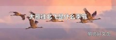 大雁往北飞是什么季节