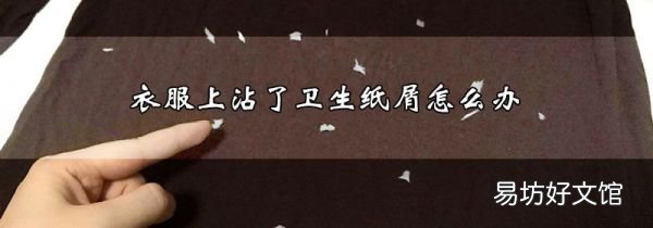 衣服上沾了卫生纸屑怎么办