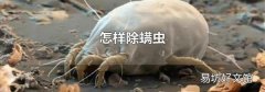 怎样除螨虫