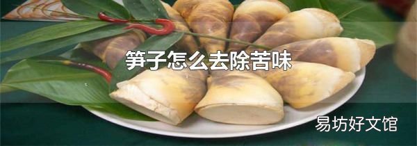 笋子怎么去除苦味