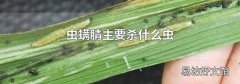 虫螨腈主要杀什么虫
