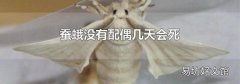 蚕蛾没有配偶几天会死