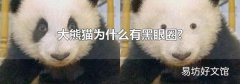 大熊猫为什么有黑眼圈?
