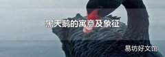 黑天鹅的寓意及象征