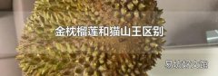 金枕榴莲和猫山王区别