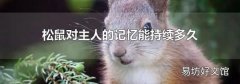松鼠对主人的记忆能持续多久