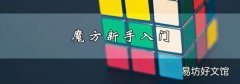 魔方新手入门