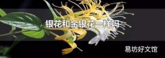 银花和金银花一样吗