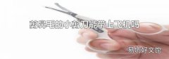 剪鼻毛的小剪刀能带上飞机吗