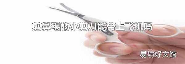 剪鼻毛的小剪刀能带上飞机吗