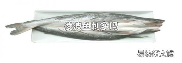 凌波鱼刺多吗