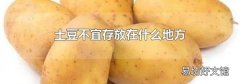 土豆不宜存放在什么地方