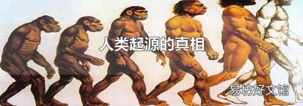 人类起源的真相