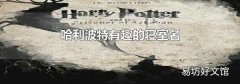 哈利波特有趣的寝室名