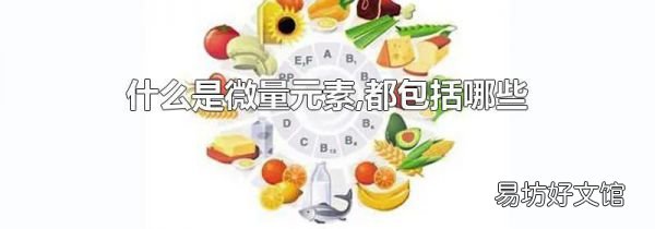 什么是微量元素,都包括哪些