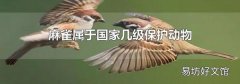 麻雀属于国家几级保护动物