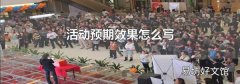活动预期效果怎么写