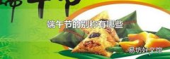端午节的别称有哪些