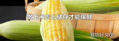嫩玉米怎么储存才能保鲜