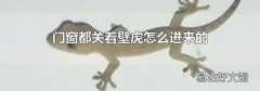 门窗都关着壁虎怎么进来的