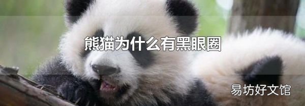 熊猫为什么有黑眼圈