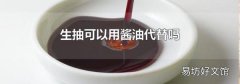 生抽可以用酱油代替吗