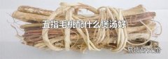 五指毛桃配什么煲汤好