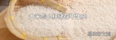 大米怎么样储存不生虫
