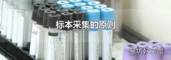 标本采集的原则