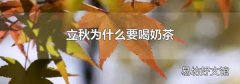 立秋为什么要喝奶茶