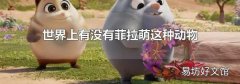世界上有没有菲拉萌这种动物