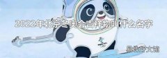 2022年北京冬奥会吉祥物叫什么名字