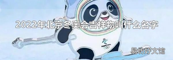 2022年北京冬奥会吉祥物叫什么名字