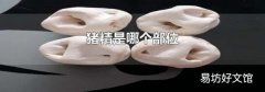 猪精是哪个部位