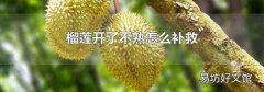 榴莲开了不熟怎么补救