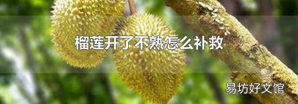 榴莲开了不熟怎么补救